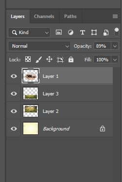 example of photoshop layers menu