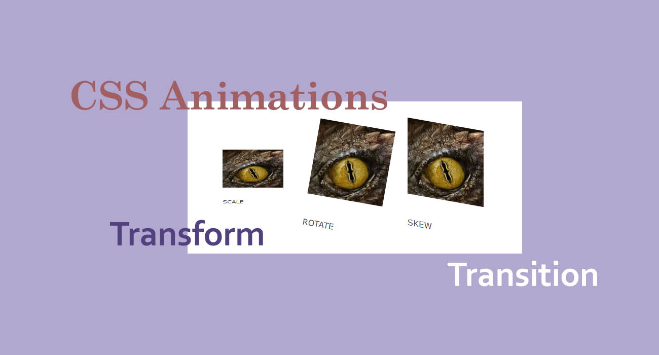 How to Create CSS Animations: Transform and Transition - Create With Code  Dragon