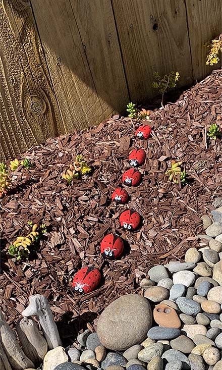 ladybug painted rocks