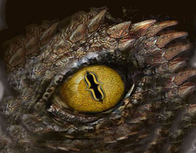 about the code dragon blog dragon eye design