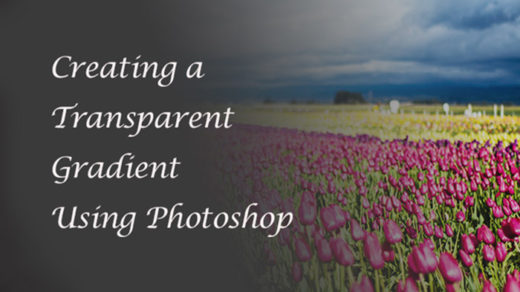 how to apply a transparent gradient on top of an image using Adobe Photoshop