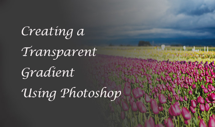 how to apply a transparent gradient on top of an image using Adobe Photoshop