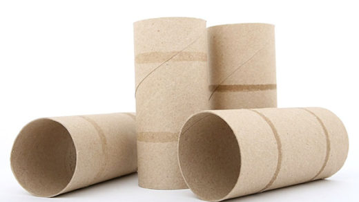 Repurposing toilet paper rolls