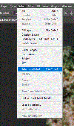 Adobe Photoshop select-and-mask feature