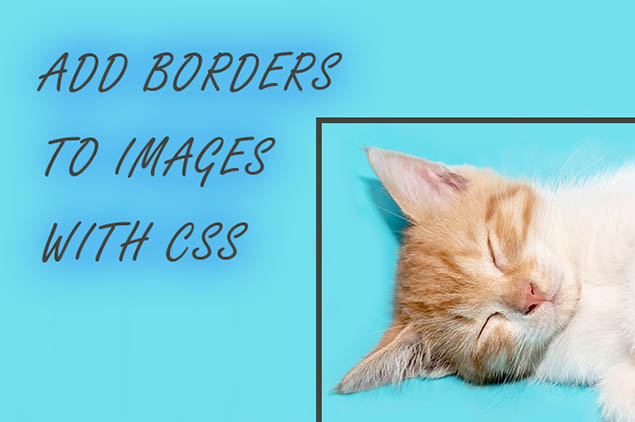 add a border to an image using css and html